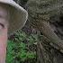 Я возле дерево в дереве дупло Видео про чёрных муравьёв