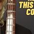Chris Squire Of Yes Named His Six Favourite Bass Players
