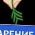 Зельеварение на Руси От ведьм и заговоров до оберегов и Лукоморья Александра Баркова Аудиокнига