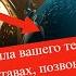 Как при помощи тепла вашего тела избавиться от боли в мышцах суставах позвоночнике