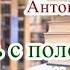 Аудиокнига Девять с половиной идей Антон Леонтьев