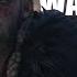 Assassin S Creed Valhalla Warriors