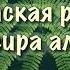 Шариатская рукия от шейха Насира аль Катами лечение Кораном