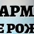 3 ноября Карма по дате рождения