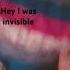 Hey I Was Invisible Meme Memes Funny