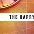 The Chainsmokers See The Way THE HARRY REMIX Audio