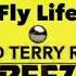 Basement Jaxx Fly Life Todd Terry Remix