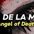 Jim Yosef Angel Of Death Ft Scarlett Subtitulada Al Español Lyrics