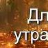 Вадим Плахотнюк Для тех кто утратил веру