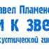 Павел Пламенев Уходим к звёздам версия на акустических гитарах