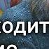 Где находится сознание Станислав Дробышевский Лекции по антропологии Научпоп