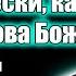 Мы не размениваем по торгашески как многие слова Божия Ричард Циммерман Проповеди христианские