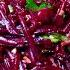 They Ll Eat It In A Minute I Take Beets And A Can Of Beans I M Making Delicious Beet Salad