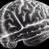 Zaark Your Mind Visualizer Official
