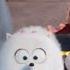 The Secret Life Of Pets Trailer 2 HD Illumination