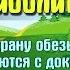 Доктор Айболит часть 1 Путешествие в страну обезьян глава 15 Прощание Аудио сказка