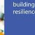 Building Financial Resilience