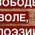 Дмитрий Быков о революции и о том почему поэту не ужиться с царем