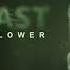 Outlast Whistleblower Soundtrack Music Sting Sustain 1