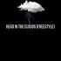 HEAD IN THE CLOUDS