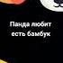Панда любит есть бамбук
