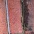 ASMR Bricklaying
