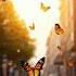 Morning Eduard Grieg Morning Grieg Butterfly Nature DreamScreenAI