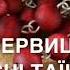 Молимось вервицю Радісні Таїнства Понеділок та Вівторок о Олег Григорець