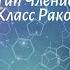 Биология 7 кл Пасечник 44 Тип Членистоногие Класс Ракообразные