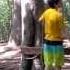 American Ninja Warrior Tarzan Swing Rope Training