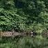 Dry Fly Fishing On The Taff Fly Fishing