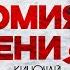 АНАТОМИЯ ПАДЕНИЯ семья смерть суд ОБЪЯСНЕНИЕ КОНЦОВКИ подкаст обсуждение