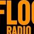 4 To The Floor Radio Show Ep 58 Presented By Seamus Haji Daniel Steinberg Guest Mix