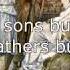 King Croesus And Cyrus The Great Histories Book 1