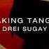 Aking Tangi Drei Sugay Lyrics The Forbidden Flower OST