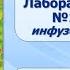 Тема 5 Гетеротрофные протисты Лабораторная работа 1 Строение инфузории туфельки