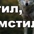 Волк отомстил но отомстил без крови Читает Андрей
