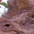 Jurassic Park 1993 The Sick Triceratops Scene Movieclips