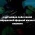 подпишитесь и напишите комент я подпишусь в ответ Fnaf реки 50подписчиков залетит