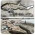 A 10m Long Ichthyosaur The UK S Most Complete Was Unearthed At Rutland Water In 2021 During