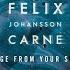 Felix Johansson Carne A Message From Your Space Cat