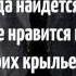 Навсегда ничего не бывает Л Н Толстой