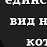 Меткие и циничные цитаты и высказывания Джорджа Карлина