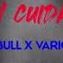 Ten Cuidado Pitbull X Various Cumbia Remix BassBoosted