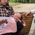 Full Video Young CEO And Tu Dao Rescue A Baby And A Bag Of Money Will They Make It Out Alive