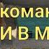 Моя собака понимает выполняет команды состоящие из двух слов Порода немецкая овчарка