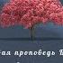 аудио книга Первая Проповедь Будды I Аджан Сумедхо Четыре Благородные Истины