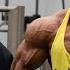 Train With The Pro Creator Andrei Crushes FST 7 Shoulders