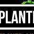 Friday Night Funkin VS Plants Vs Zombies Replanted 3 0 ALL GAMEOVER ANIMATIONS