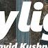 David Kushner Daylight Slowed Reverb